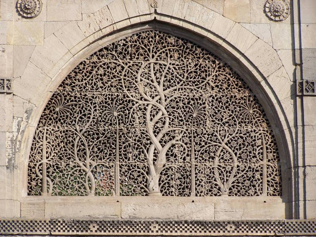 Hình ảnh Cây Sự Sống 